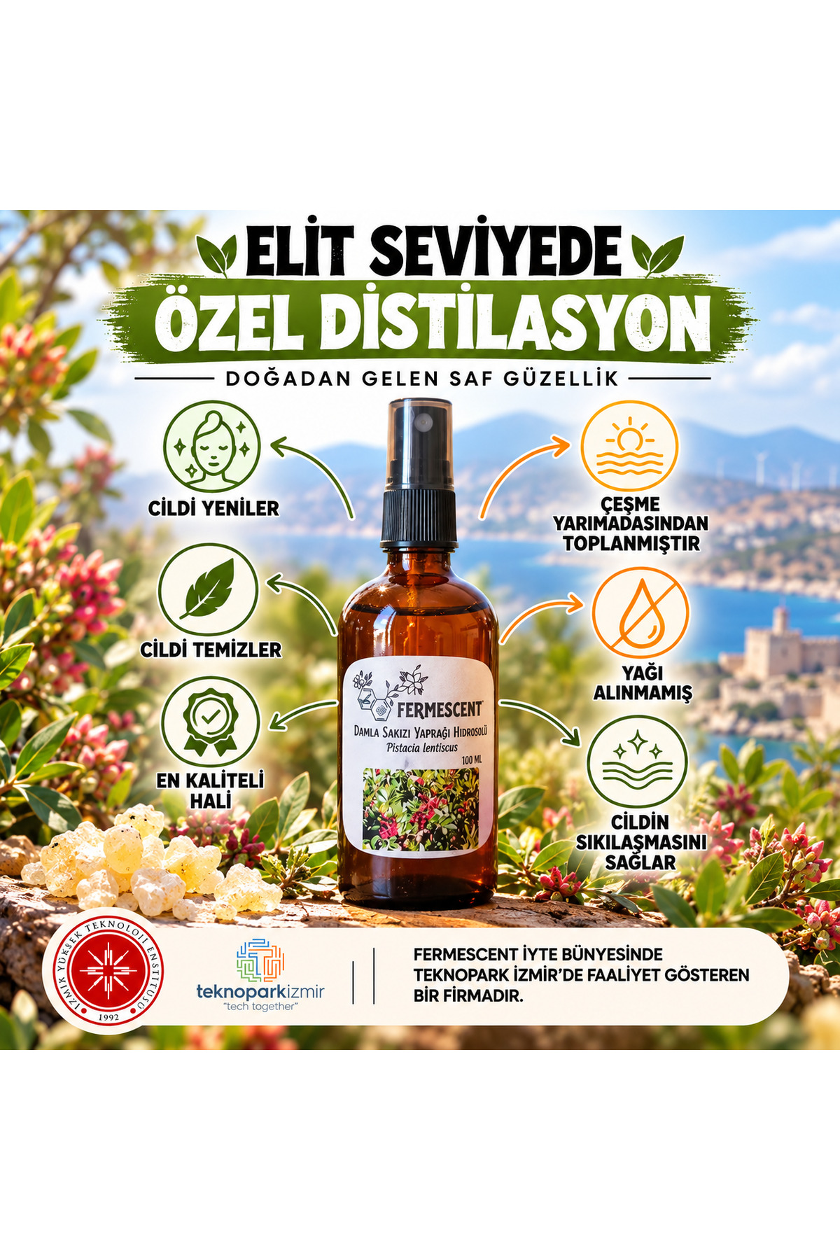 Damla Sakızı Yaprağı Hidrosol Cilt Canlandırıcı Doğal Tonik 100 ml — SakızHidrosolü
