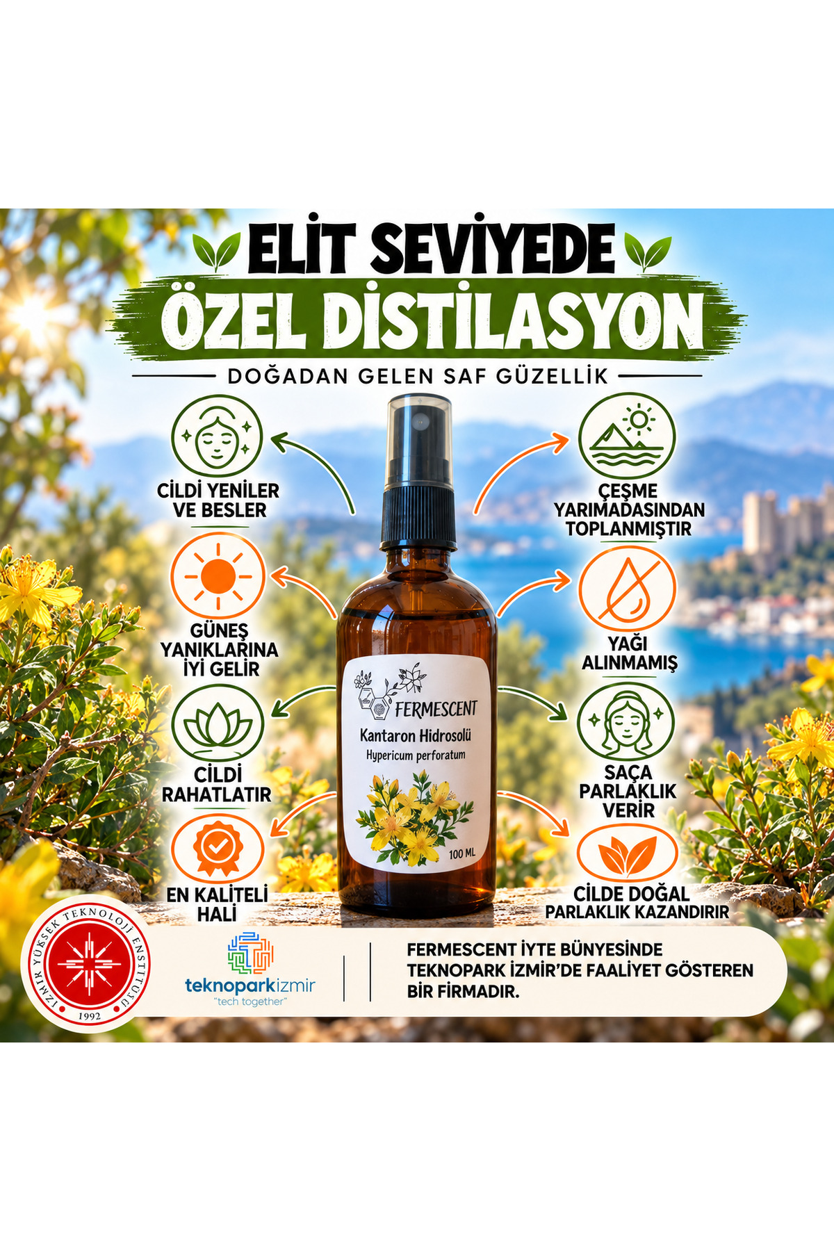 Kantaron Suyu Hidrosolü Güneş Sonrası Bakım Cilt Onarıcı Doğal Tonik 100 ml — 350404