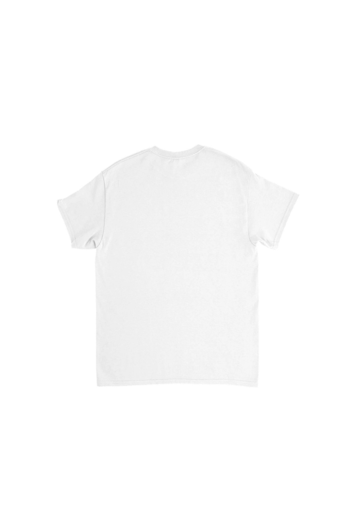 درمانگر من سبیل دارد 2