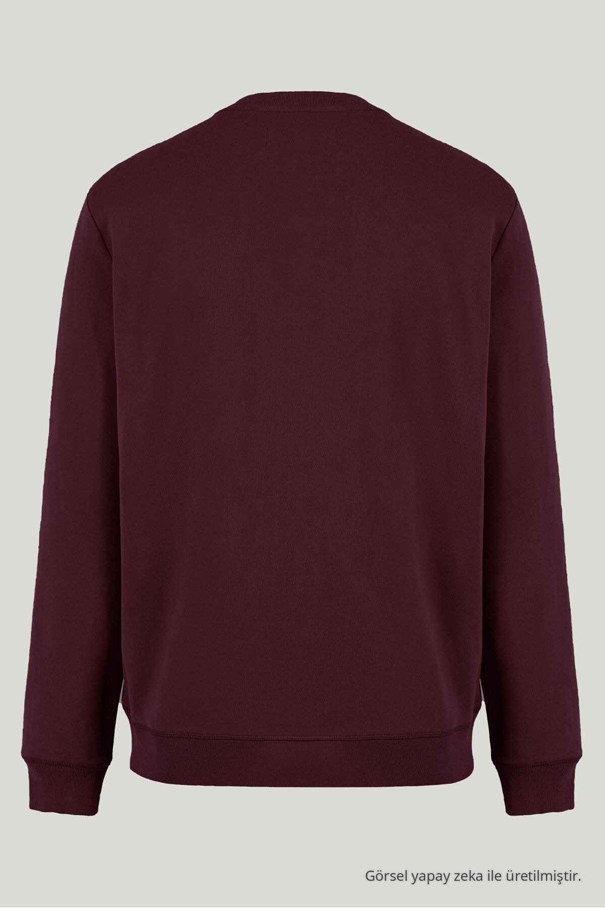 Erkek Uzun Kol Bisiklet Yaka 3 Lü Swetshirt — رنگارنگ Paket-1210-2 — تصویر 6 از 8