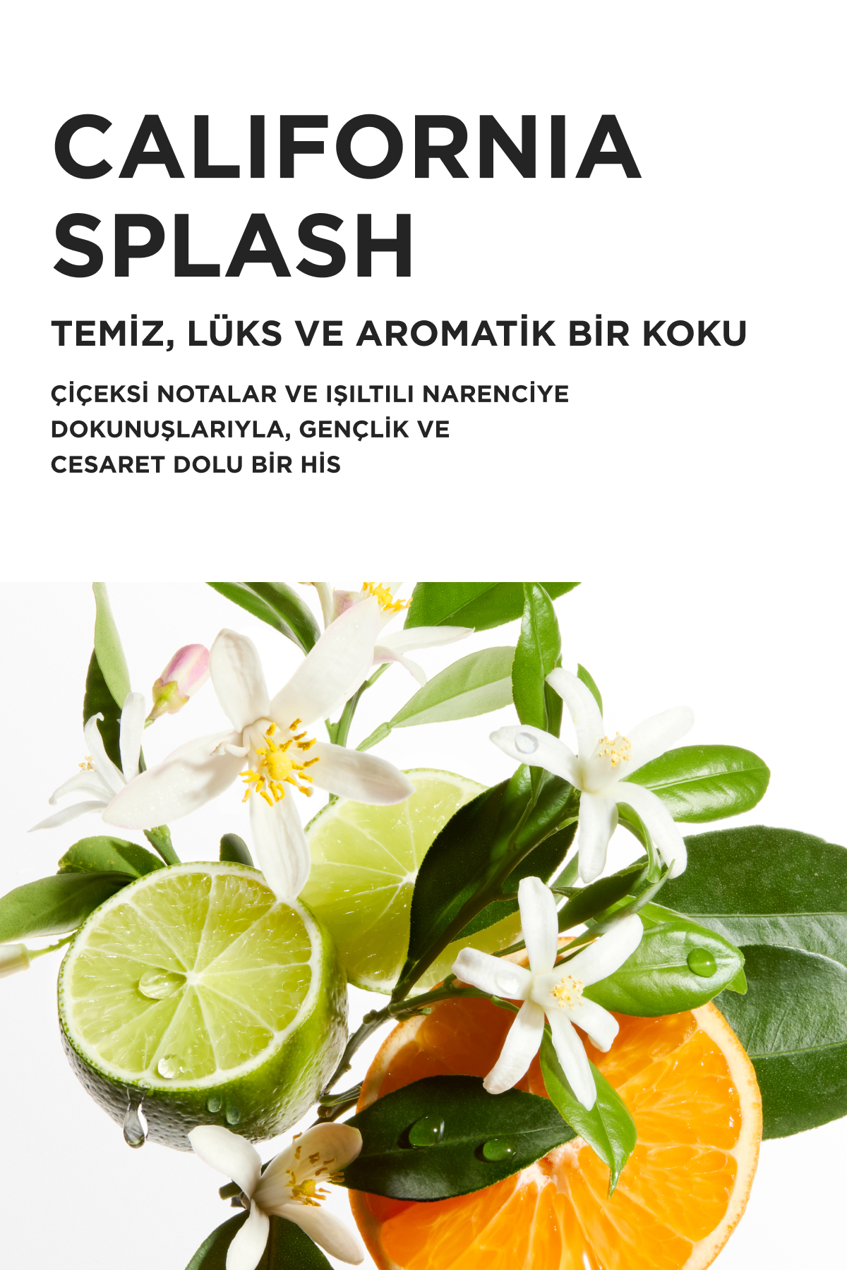 Blond Absolu Cicaflash Sarı Saçlar Için Parlaklık Veren Durulanan Saç Bakım Kremi 75ml — TYC06ec007fddddc1ad075da — تصویر 7 از 8