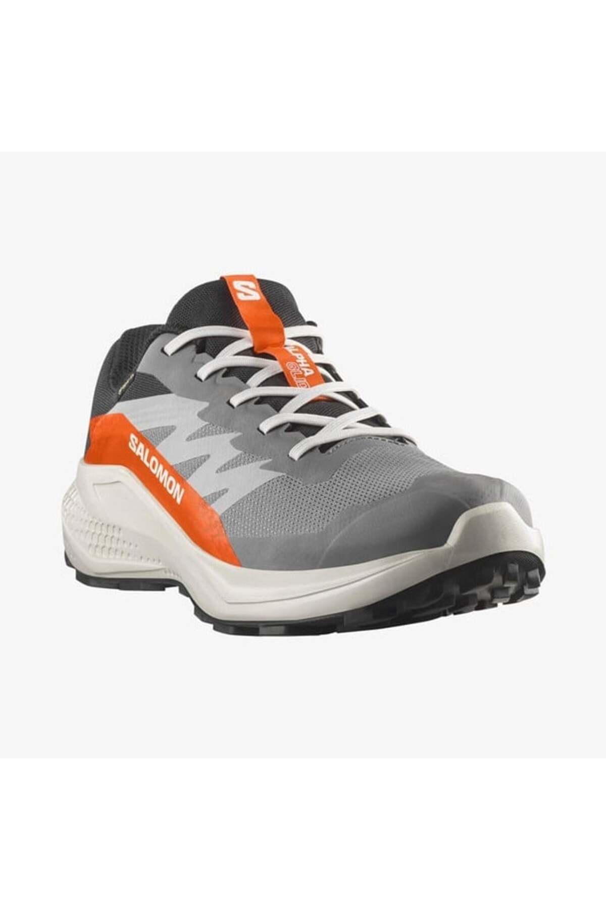 ALPHAGLIDE GORE-TEX Gri Erkek Koşu Ayakkabısı L47975300 — مشکی — تصویر 2 از 4