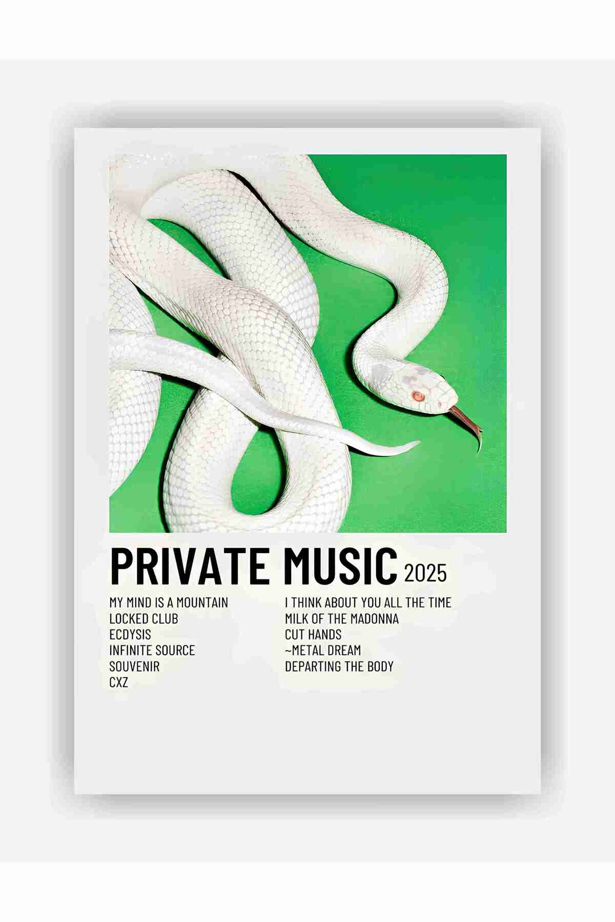 fırsatlar diyarı Deftones - Private Music Duvar Posteri Kalın Kağıt ...