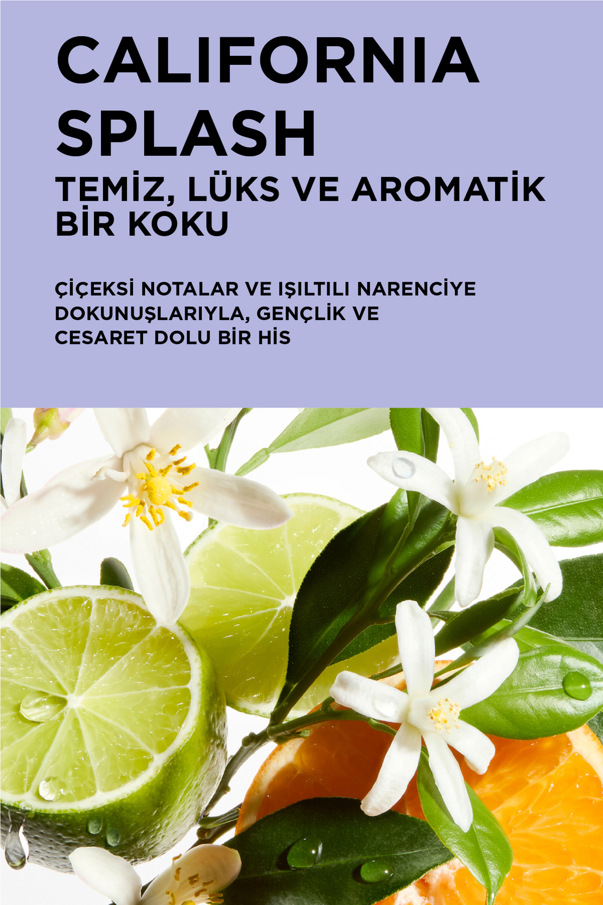 Blond Absolu L'huile Cicagloss Sarı Saçlar Için Saç Bakım Yağı 75 ml — CYT1125445 — تصویر 5 از 8