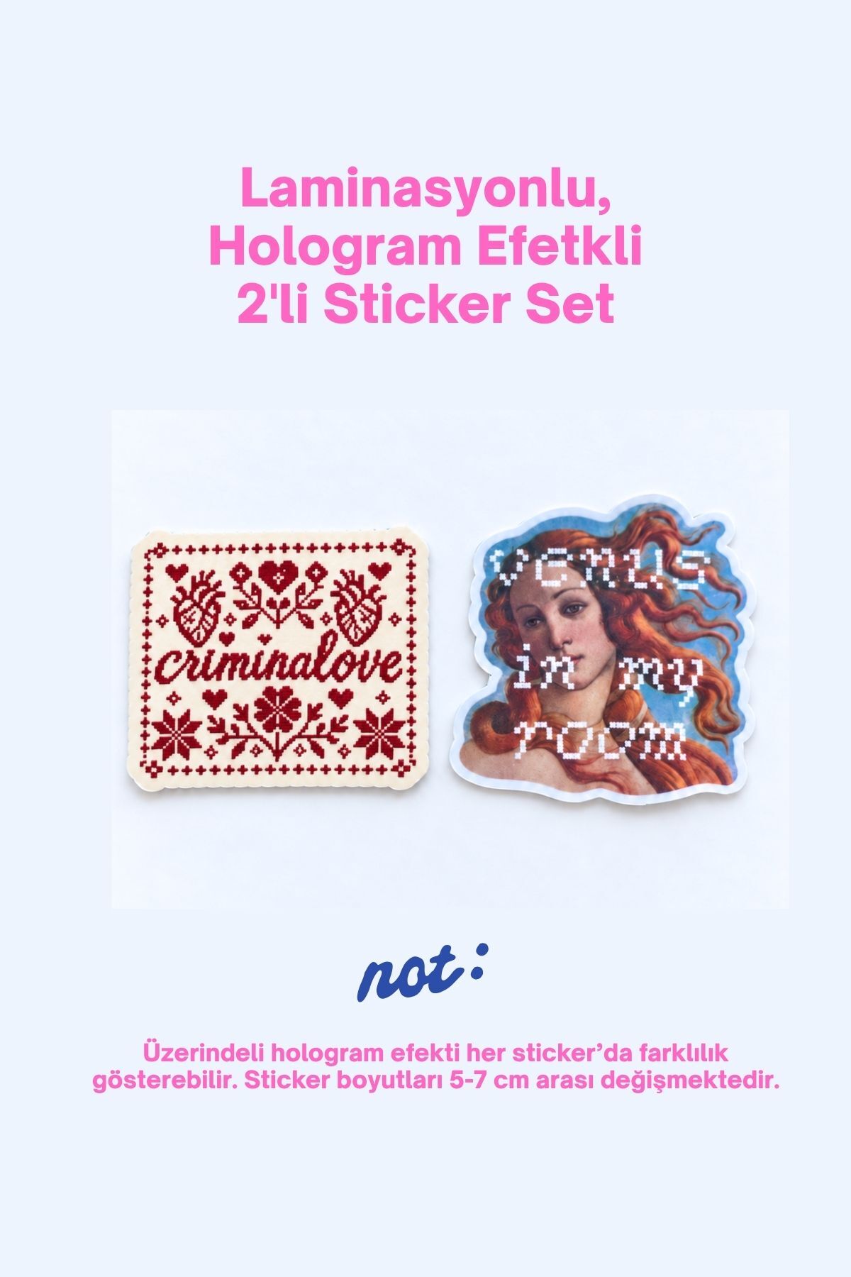 Retro 2’li Hologram Efektli Laminasyonlu Sticker Seti, Ajanda Etiketi, Çok Amaçlı Sticker, Su Geçirmez