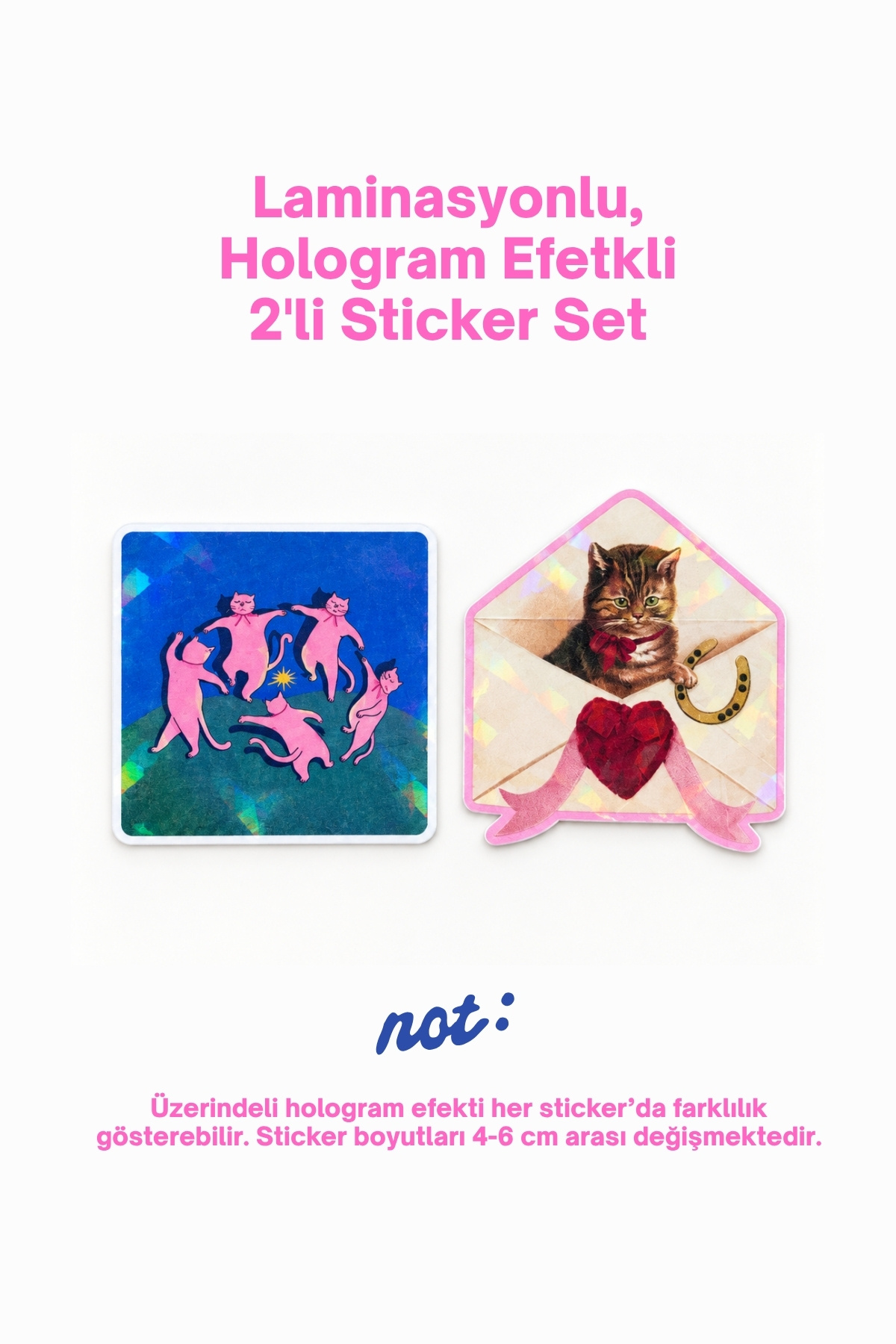 Kedi Temalı 2’li Hologram Efektli Laminasyonlu Sticker Seti, Ajanda Etiketi, Çok Amaçlı Sticker, Su Geçirmez