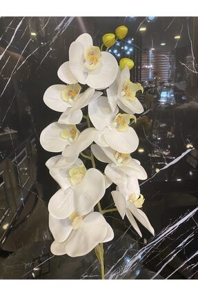 Yapay Beyaz Islak Orkide Dal 37 Cm Kc1122