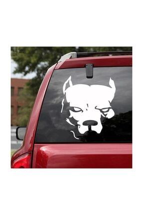 oto sticker araba sticker