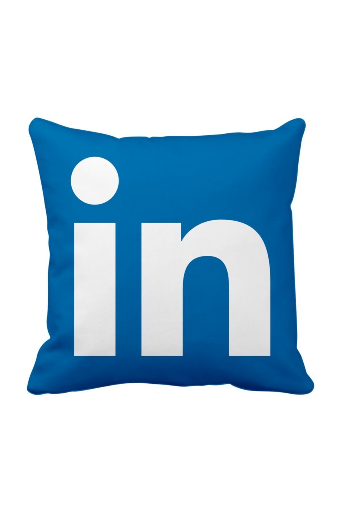 ASR-Linkedin Linkedin Social Media Pillow 1