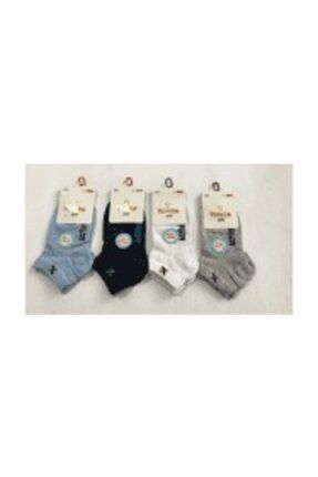 Panda 12 Li Paket Erkek Cocuk Patik Corap Toptan Corap 100 Pamuk Trendyol