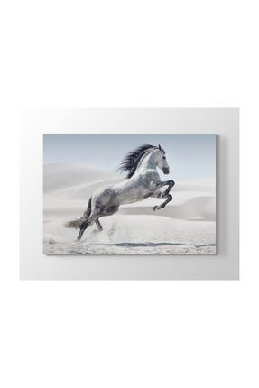Beyaz At Resimli Şahlanan Kanvas Tablo M3459