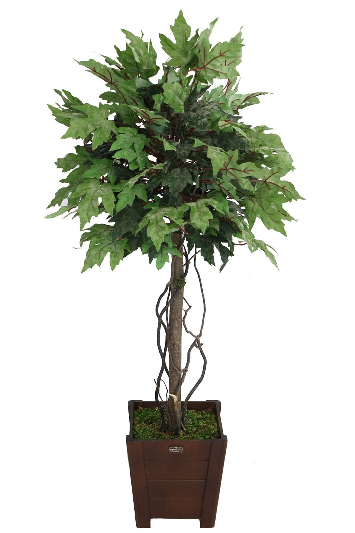 Yapay Çiçek Deposu-Artificial Dwarf Plane Tree 140 Cm Powdered Green 1