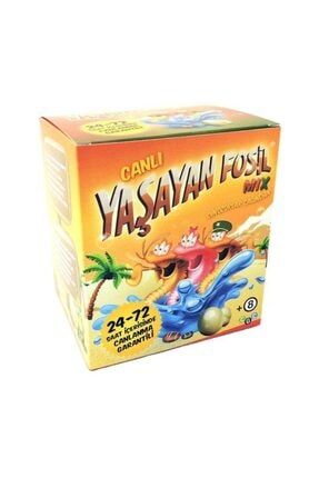zethome yasayan fosil asker canli balik yetistirme kiti fiyati yorumlari trendyol