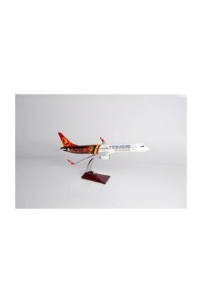 Tk Collection Thy Galatasaray 1905 B737 1 100 Olcek Maket Ucak Trendyol