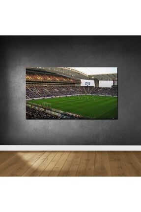 Futbol Sahası Kanvas Tablo (Ölçü: 100x140cm) C701-793