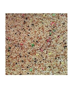 Myyem Mojo Muhabbet Kusu Tam Yem 1kg Trendyol