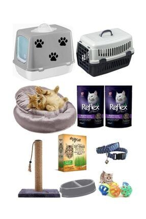 Catmozz Premium Kedi Baslangic 15 Parca Bakim Seti Trendyol