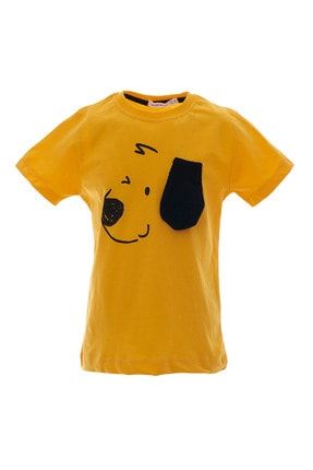 Acarkids Erkek Cocuk Tisort Araba Baskili T Shirt 1 4 Yas Ekru Trendyol