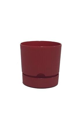 Begonya 15 cm Tabaklı Saksı 1.8 Lt Bordo 10413074589975