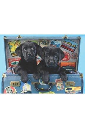 Anatolian Puzzle 1064 Haylaz Kopekler Naughty Puppies Trendyol