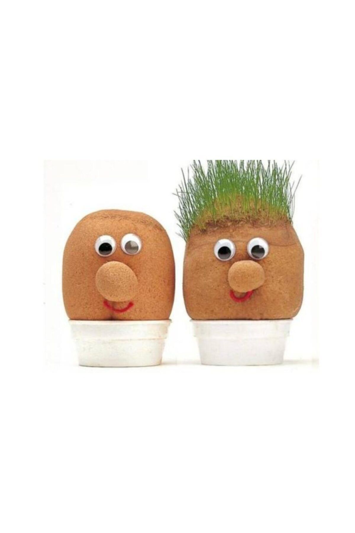 Tuğra-Grass Man Making Experiment Set 2