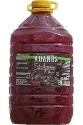 adanus 5 lt salgam suyu aci fiyati yorumlari trendyol