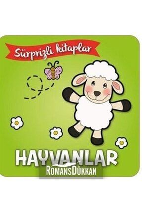 Circle Toys Sekilli Geometrik Yumurtalar Egitici Oyuncak Trendyol