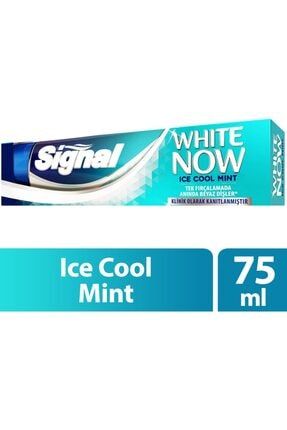 White Now Ice Cool Mint Diş Macunu 75 Ml ZO41GW