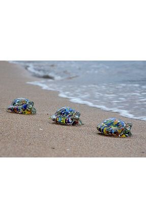 Deniz Serisi Dekoratif Kaplumbağa & Deniz Yıldızı EDS0002