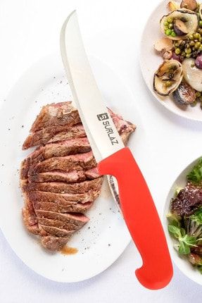 Et Doğrama Bıçağı Steak Bıçağı Pro GTR11-142