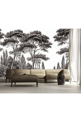 Siyah Beyaz Orman Tropikal 3d Duvar Kağıdı IN0069
