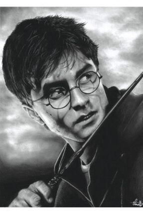 Harry Potter Kara Kalem Çizim 30 X 45 Cm Kuşe Poster Silindir Kutulu Kargo 7240597862979