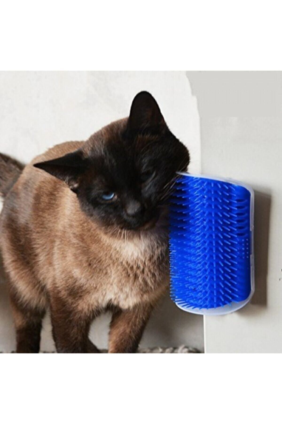 Catnip Kedi Otlu Kedi Kaşınma Ve Taranma Aparatı