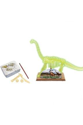 Dinozor Fosil Kazı Kiti Bilim Çocuklar Için Arkeoloji Paleontoloji Oyunu P12373S8357