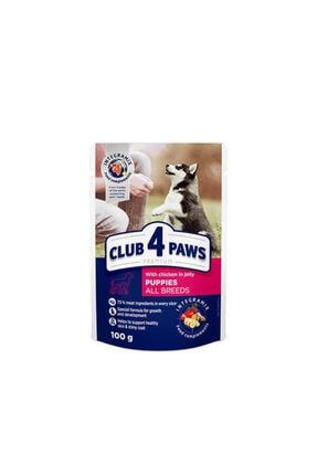 Club4paws Club4paws Tavuklu Pouch Yavru Köpek Jöle 100 G 456-D0886