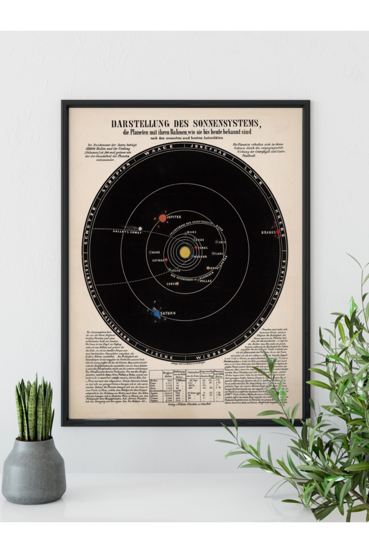 Pegziz Astronomi Ve Uzay Bilimleri Sanatsal Duvar Dekorasyon Poster 60x90cm.