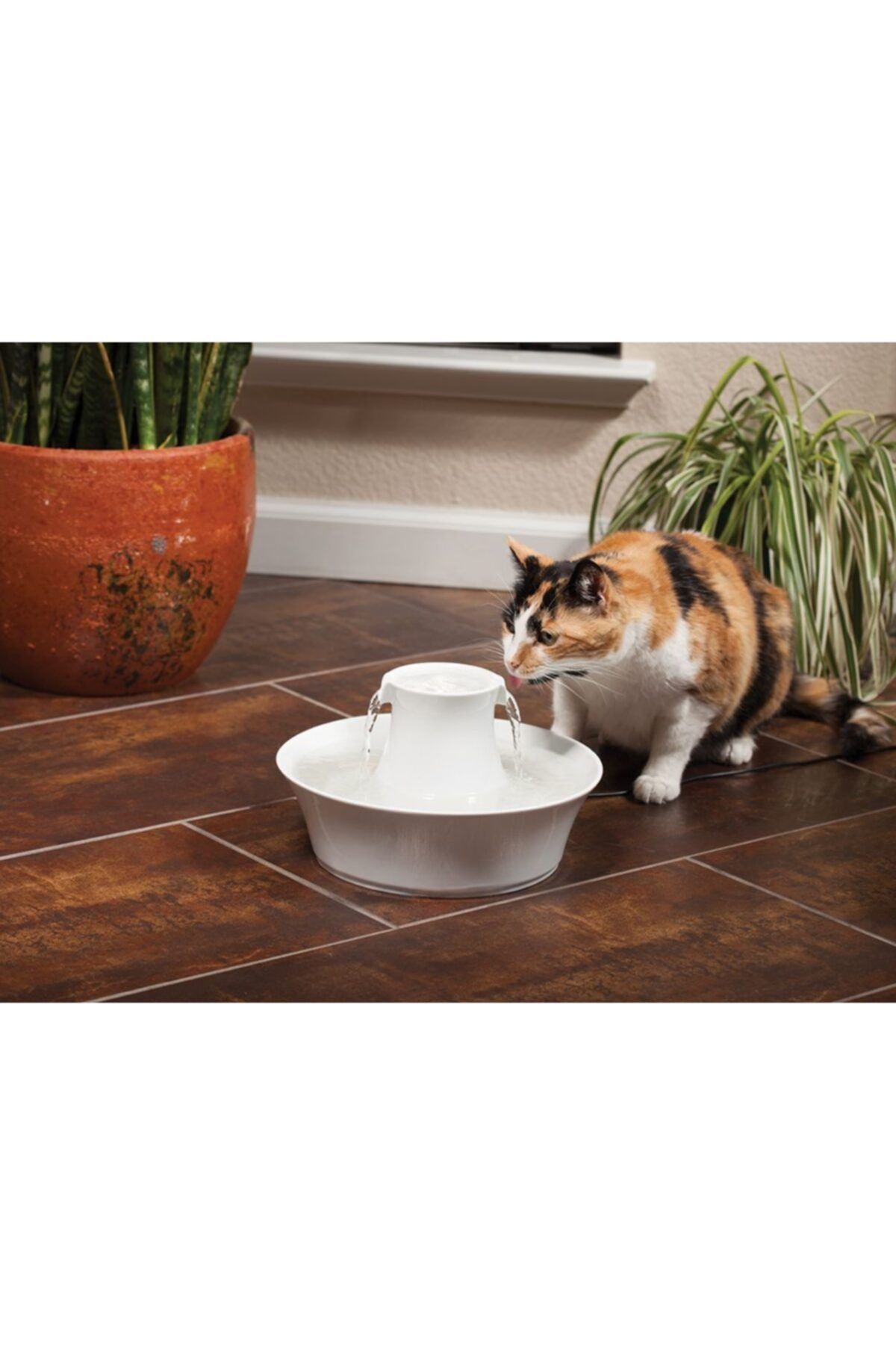 Pet Safe Drinkwell Avalon Kedi Ve K pek Su P nar Fiyat
