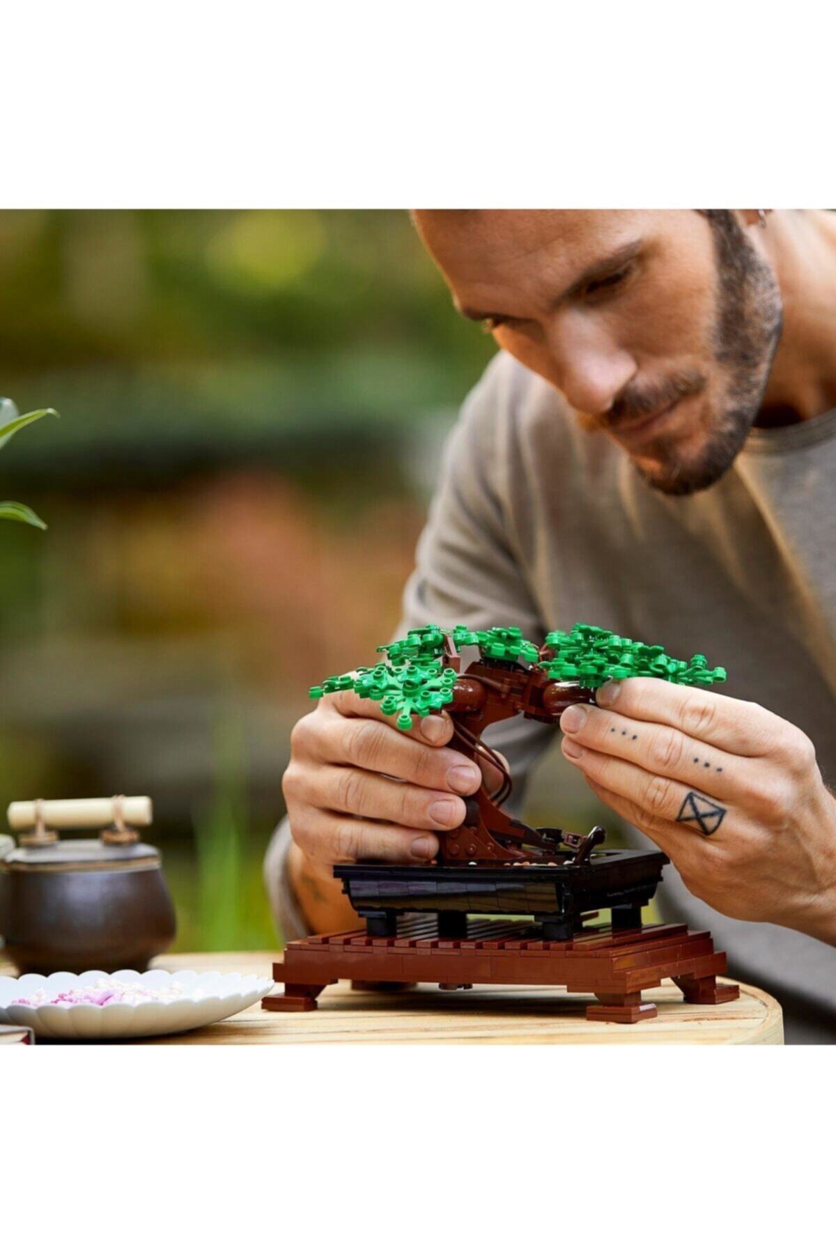 ® کریتور بونسای ۱۰۲۸۱ – کیت ساخت مدل تزئینی و قابل نمایش برای بزرگسالان (۸۷