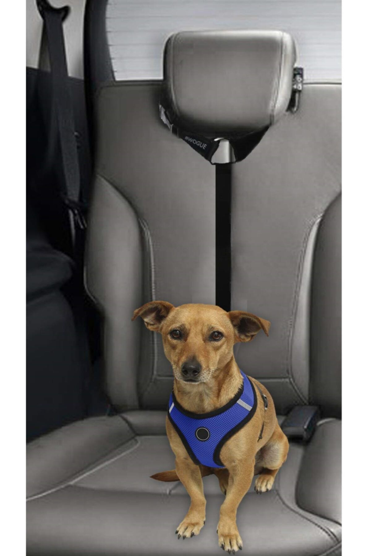 Pet shop travel seat
