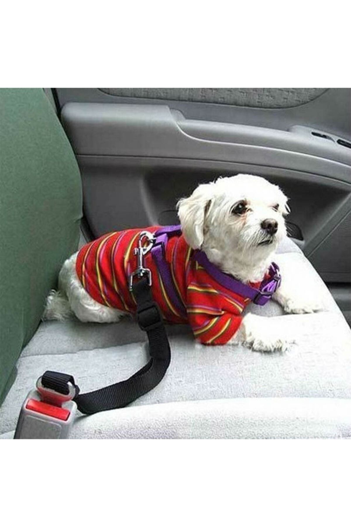 Pet car belt shop