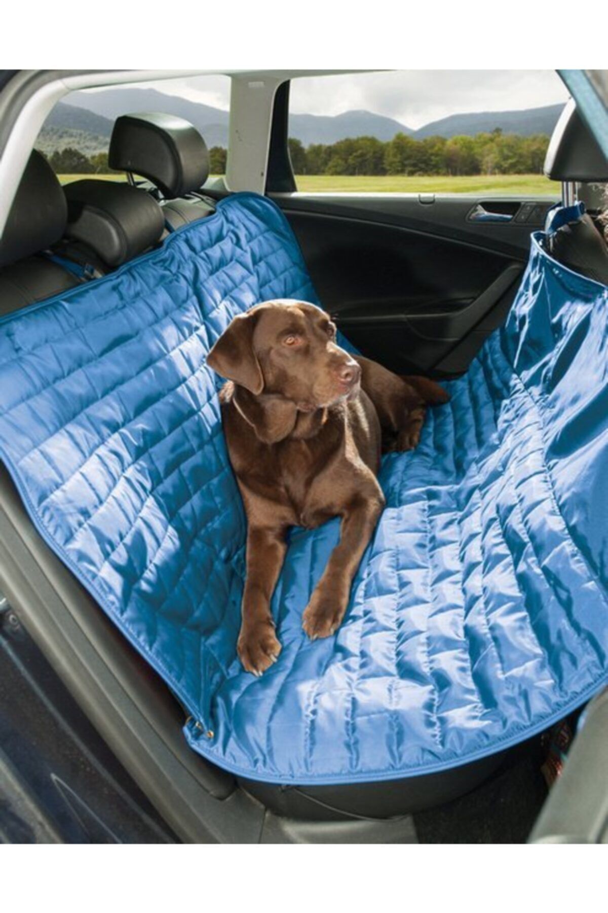 Dog seat cheap covers petsmart