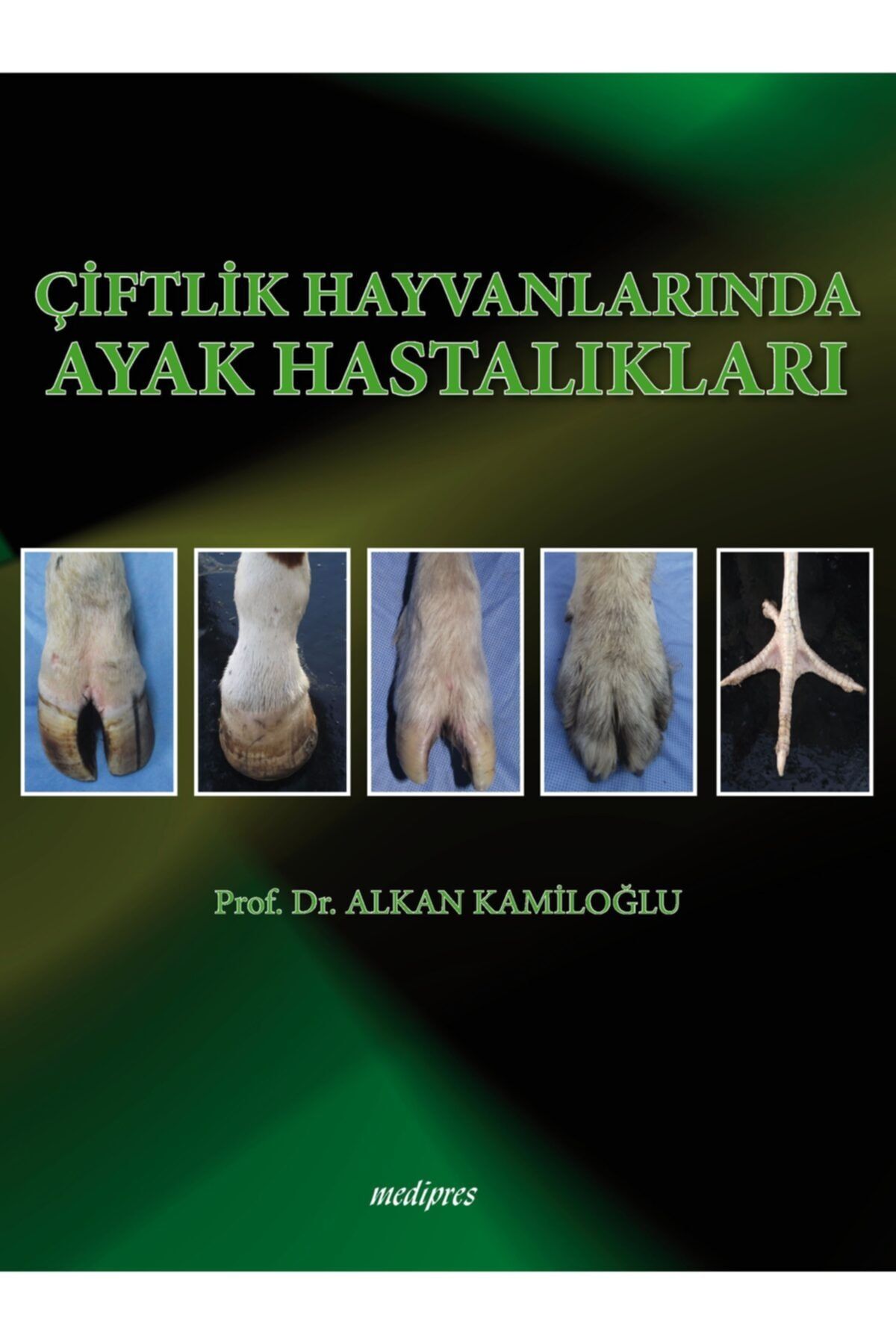 Medipress Çiftlik Hayvanlarında Ayak Hastalıkları 2. Baskı