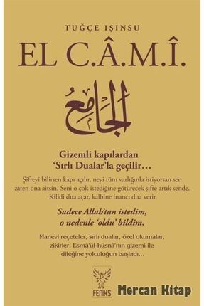 Feniks Kitap Hic Likten Gelen Guc Trendyol