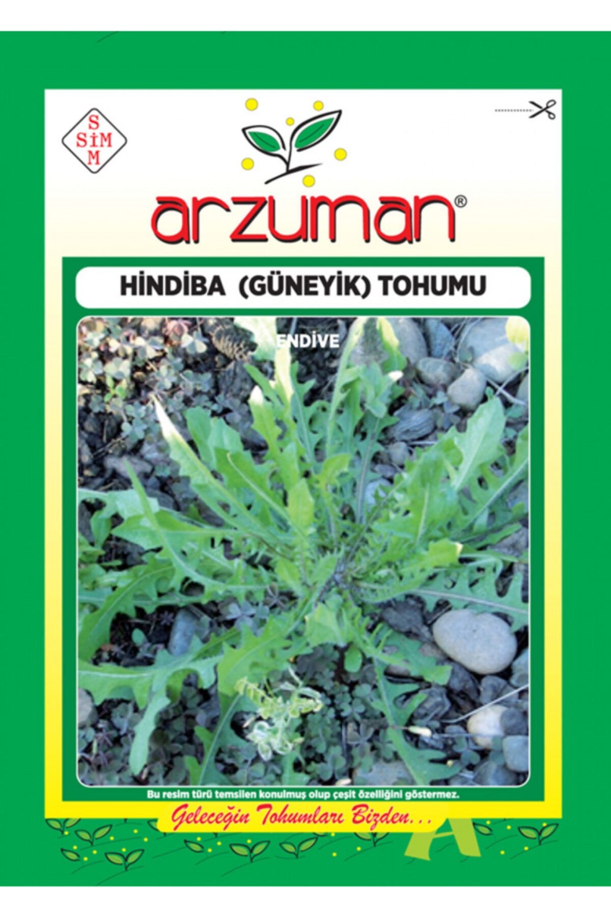 Arzuman Tohum Hindiba Güneyik Tohumu 5 Gr