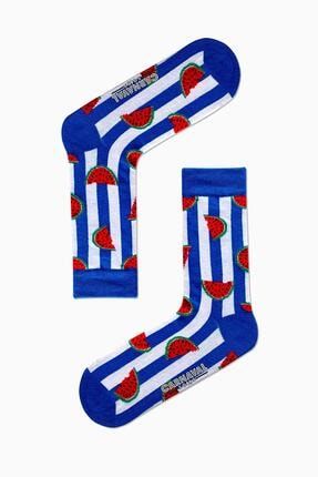 Mavi Çizgili Karpuz Desenli Renkli Çorap SKT-U1039-36-44