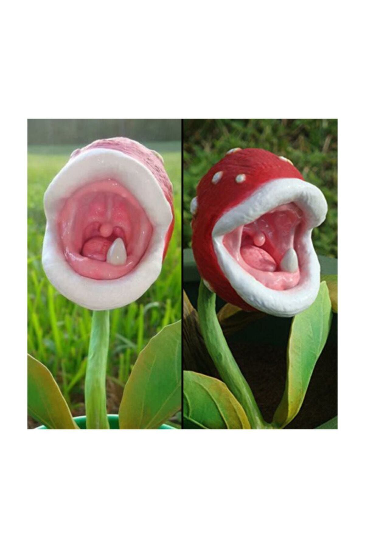 Eyikfsrmsthvqm