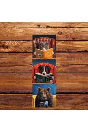 Kitap Okuyan Kedi Köpek Ayı Üçlü Retro Ahşap Poster Ü137