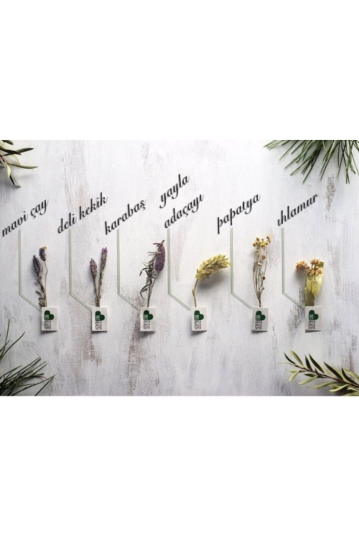 bio health bio health organik papatya