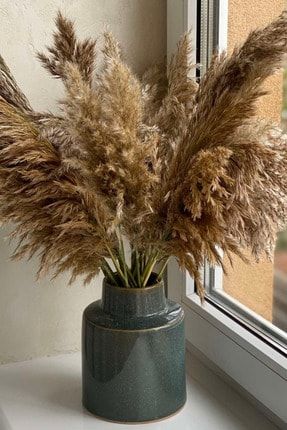 Dekoratif 7'li Natural Pampas 100 cm Lee VIII