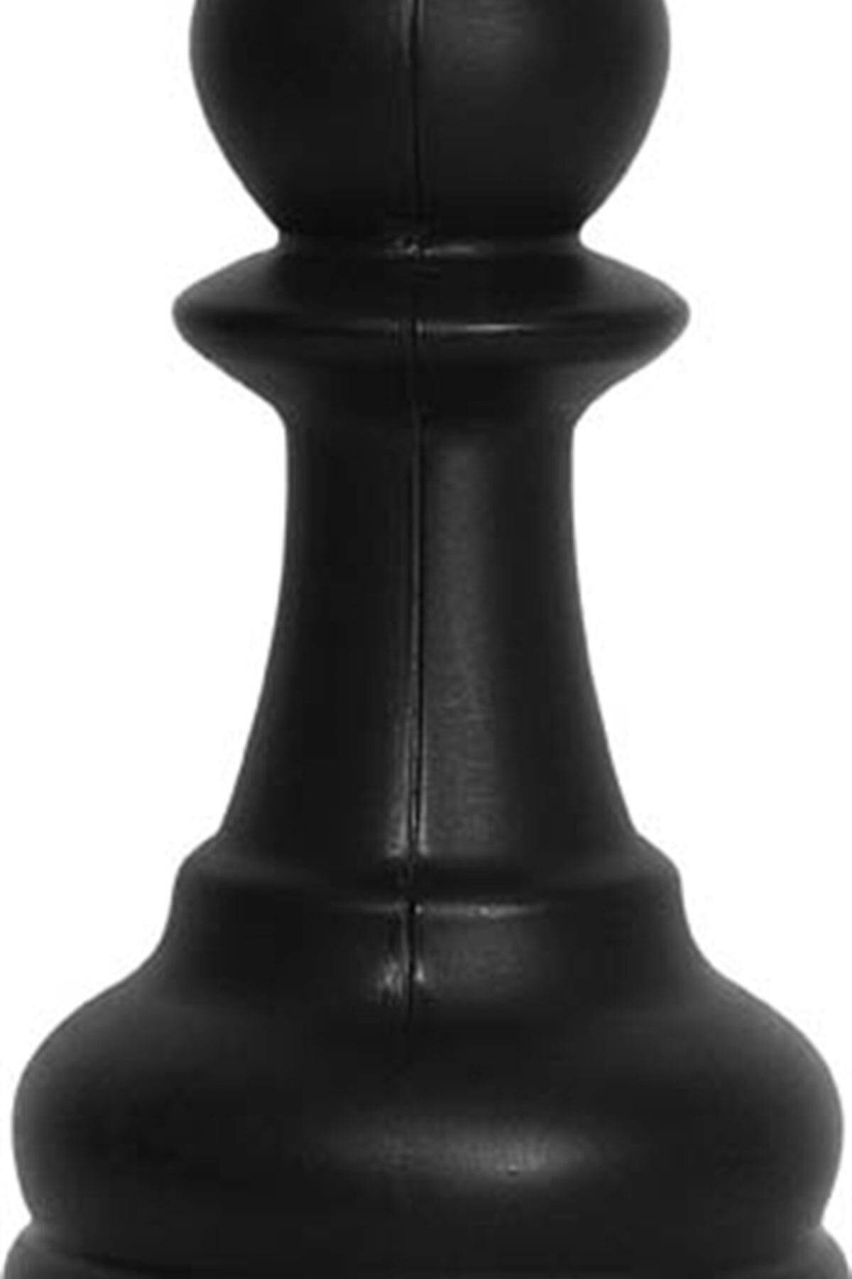 Panda-Big Garden Chess 3